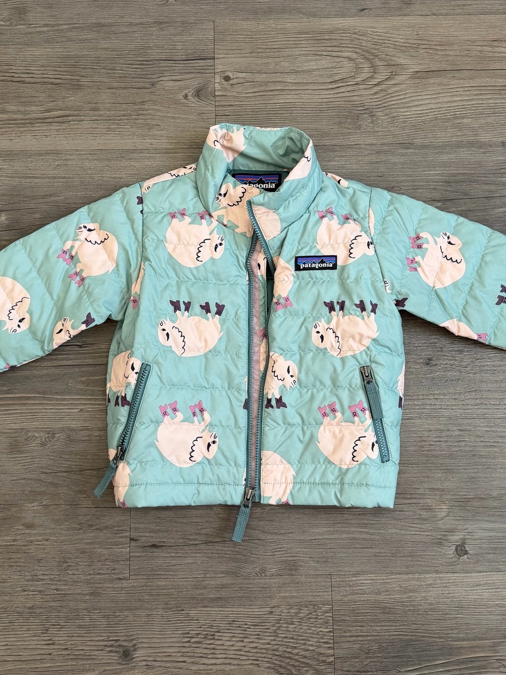 RARE Patagonia Baby Down Jacket 6-12M